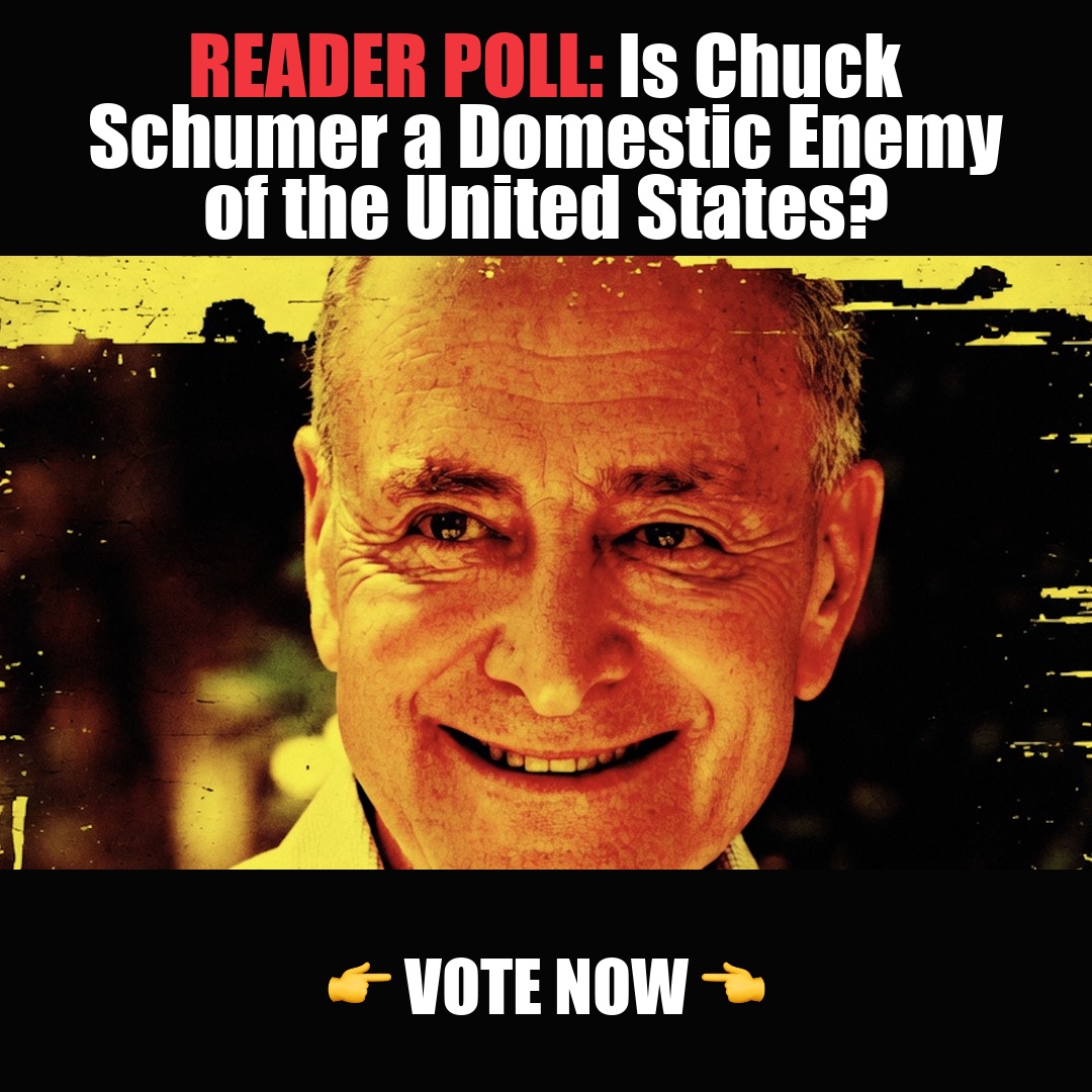 READER POLL: Is Chuck Schumer a Domestic Enemy of the United States? vote now